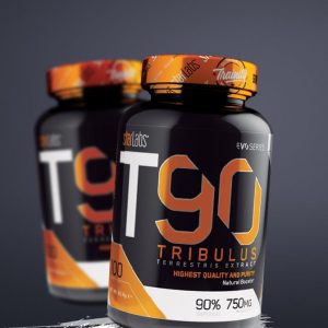 T90 Ne 2019 3b5529dd.jpeg